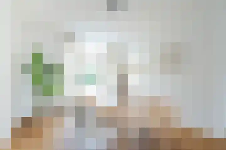 Pijlemeeth 29 Heiloo thumbnail 14
