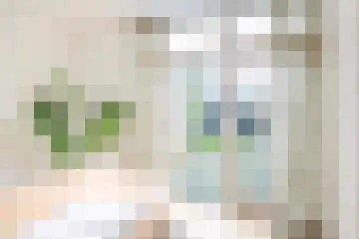 Pijlemeeth 29 Heiloo thumbnail 21