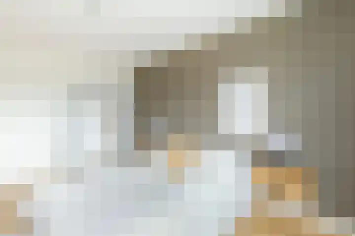 Pijlemeeth 29 Heiloo thumbnail 28