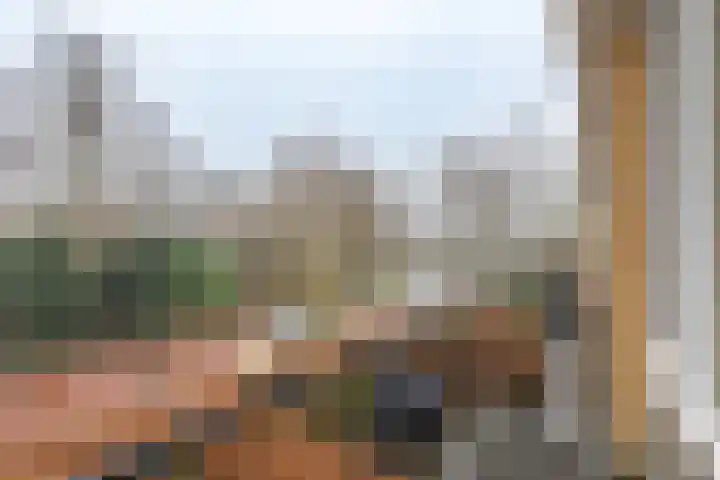 Pijlemeeth 29 Heiloo thumbnail 37