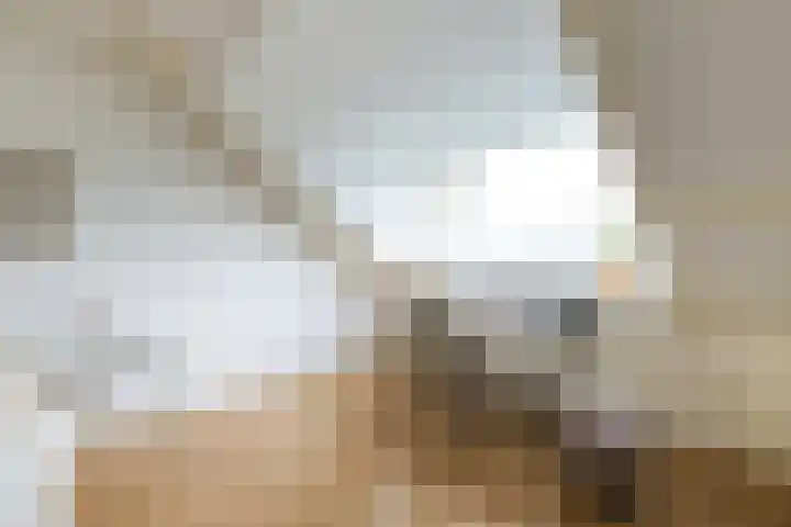 Pijlemeeth 29 Heiloo thumbnail 45