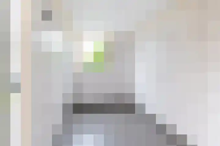 Pijlemeeth 29 Heiloo thumbnail 53