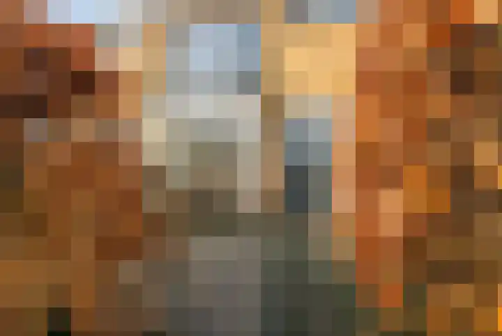 Pijlemeeth 29 Heiloo thumbnail 6