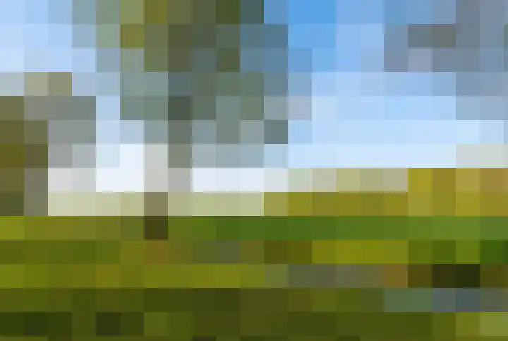 Pijlemeeth 29 Heiloo thumbnail 61