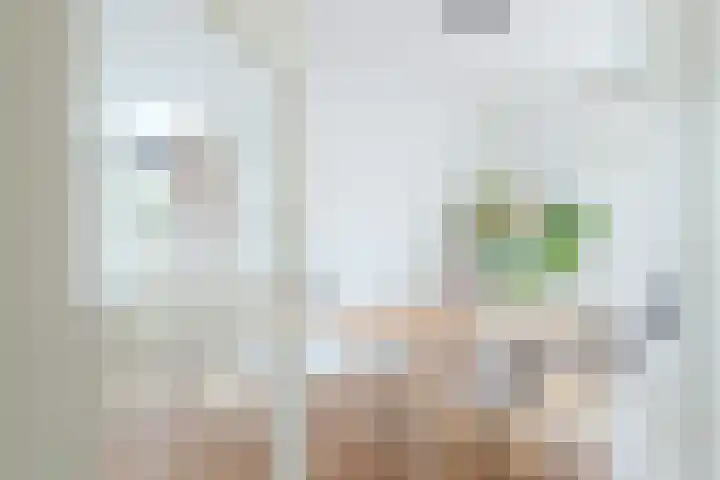 Pijlemeeth 29 Heiloo thumbnail 8