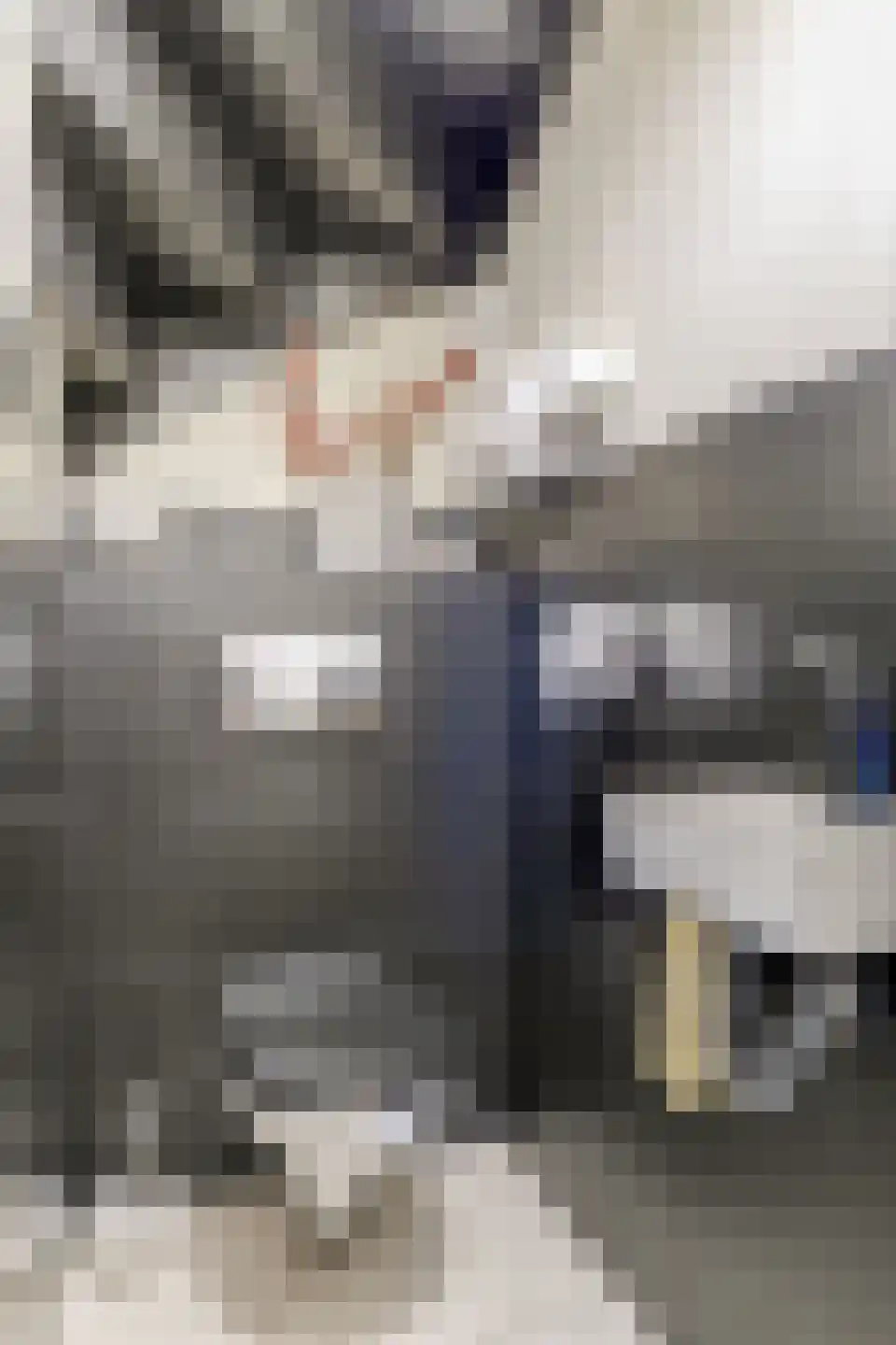 Pijlenburg 2 Middenbeemster thumbnail 19