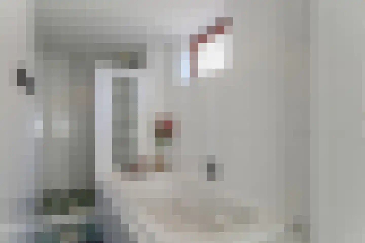 Pijlenburg 2 Middenbeemster thumbnail 35