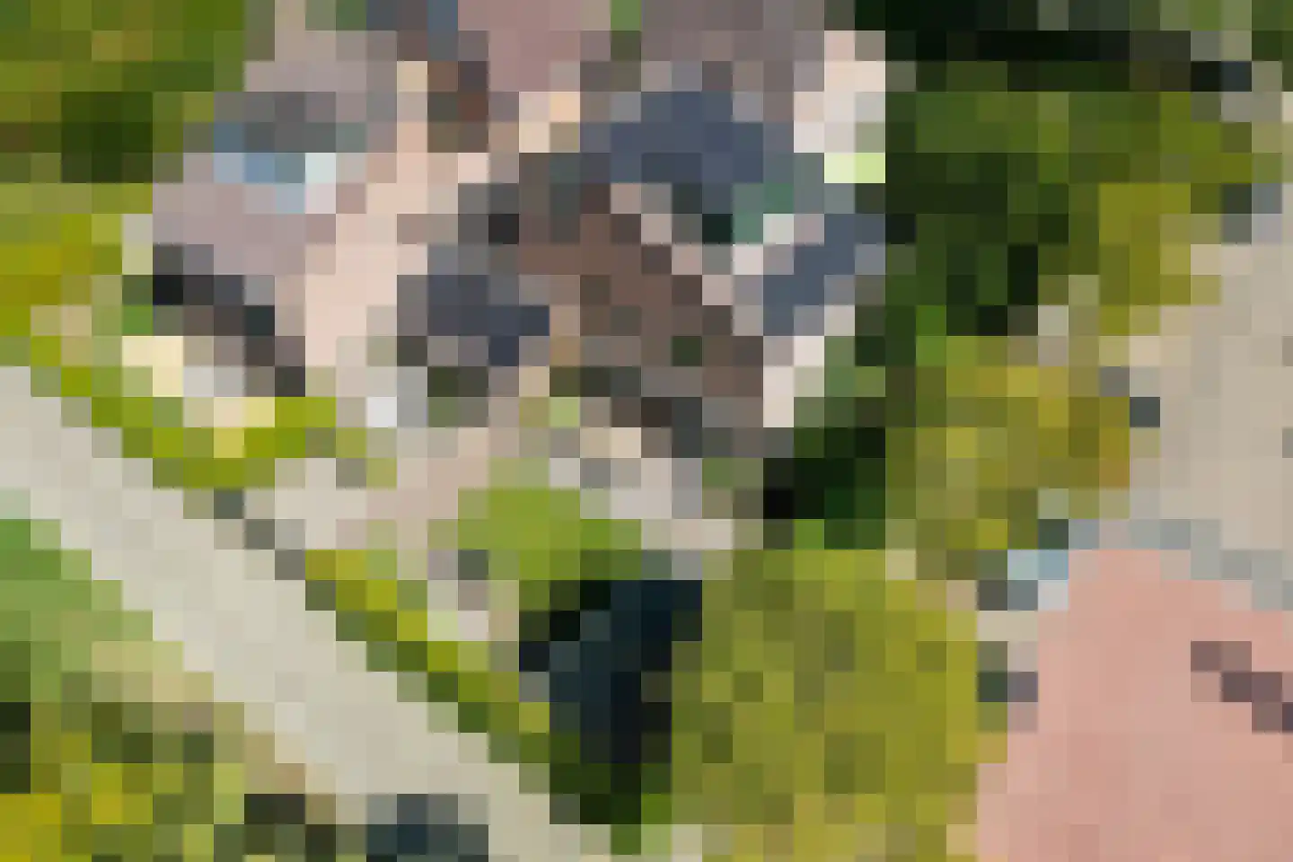 Pijlenburg 2 Middenbeemster thumbnail 49