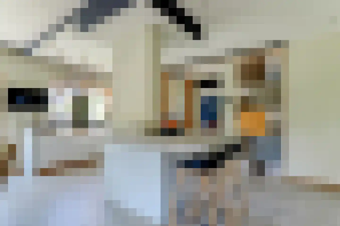 Pijlenburg 2 Middenbeemster thumbnail 5