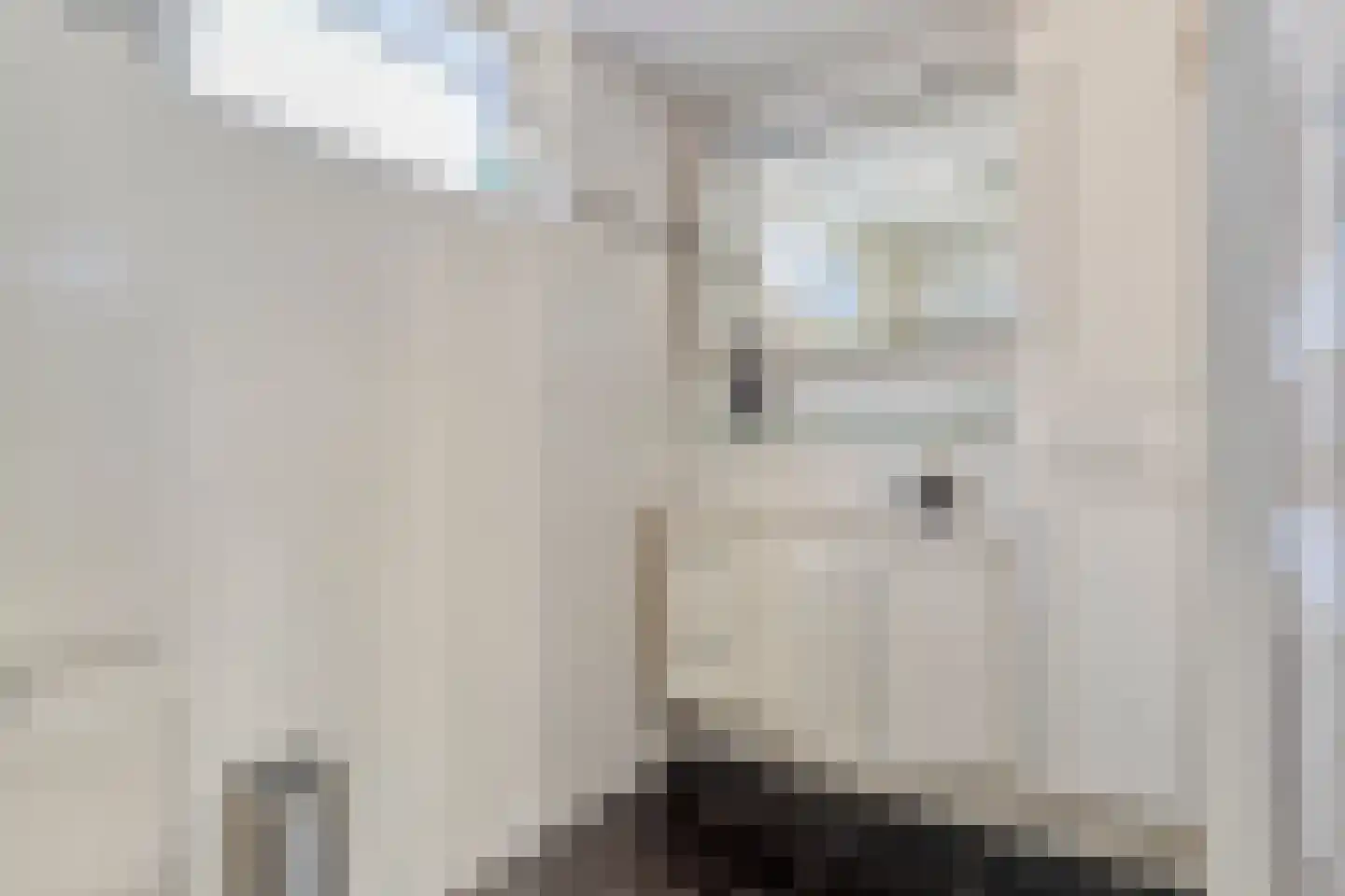 Pijlenburg 6 Middenbeemster thumbnail 19