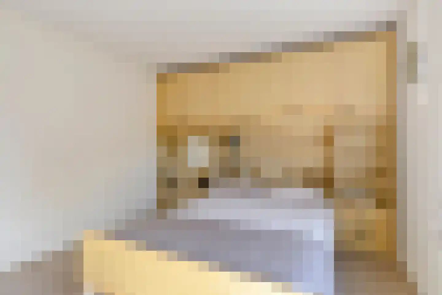 Pijlenburg 6 Middenbeemster thumbnail 22