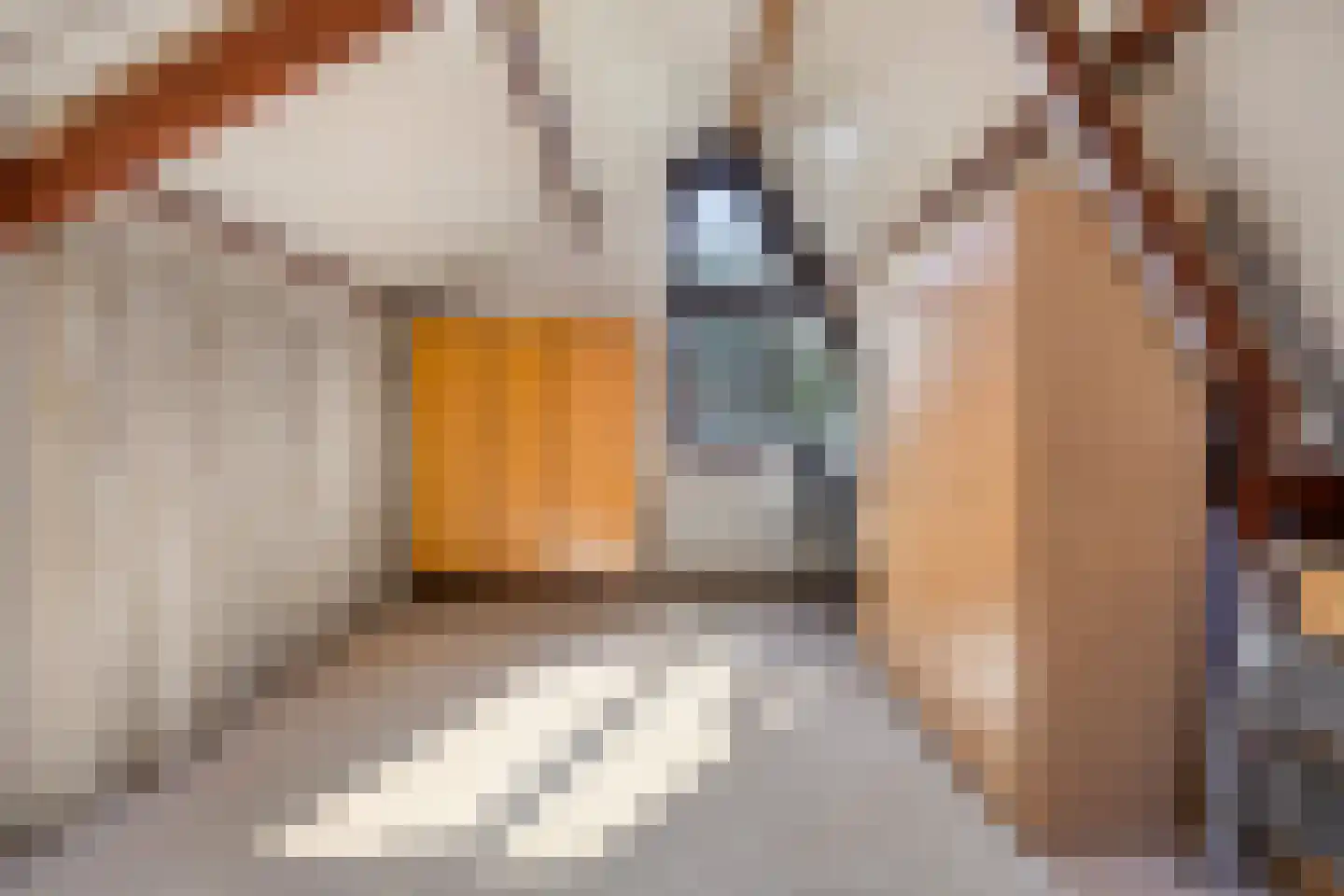 Pijlenburg 6 Middenbeemster thumbnail 27