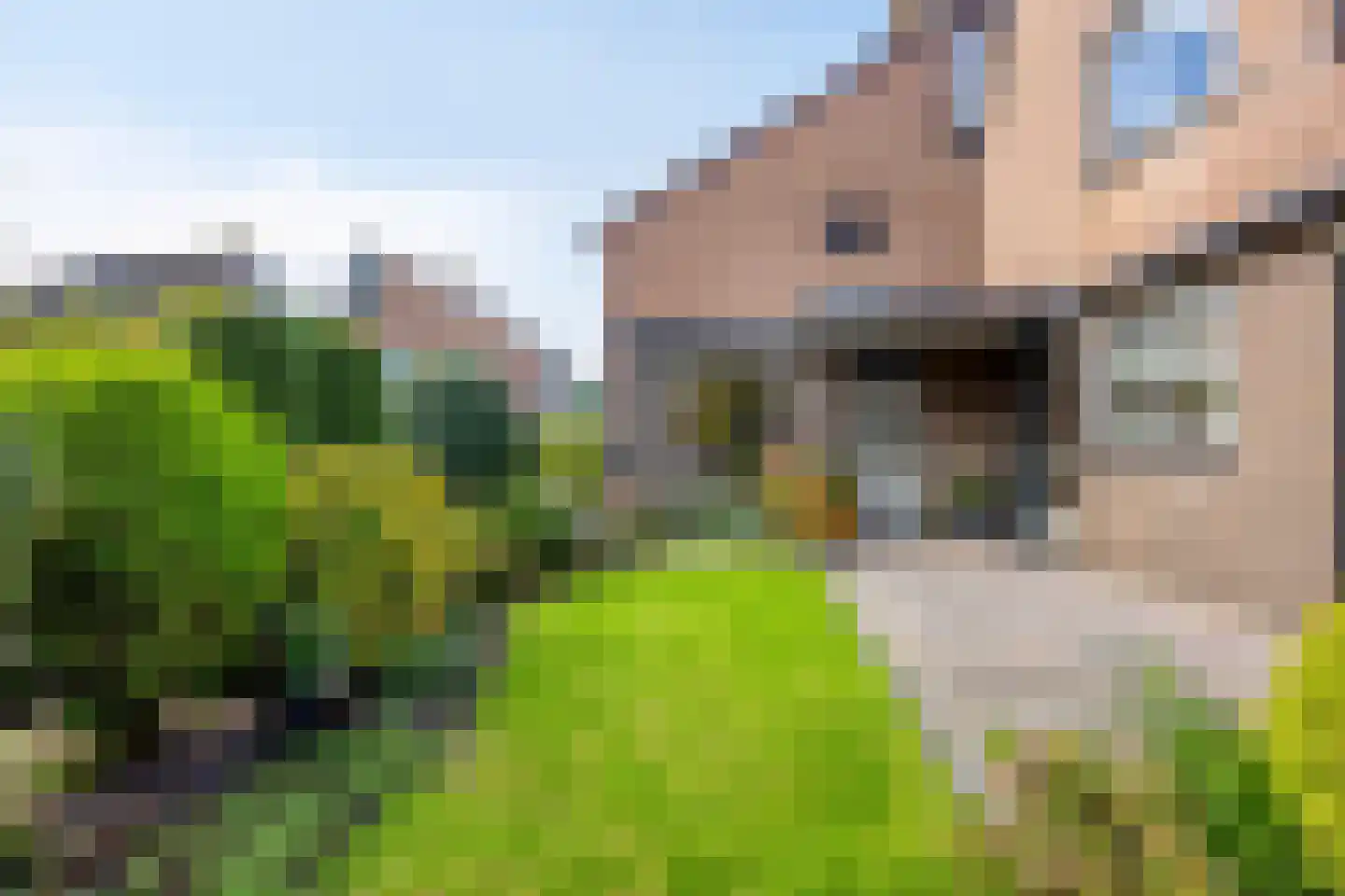 Pijlenburg 6 Middenbeemster thumbnail 30