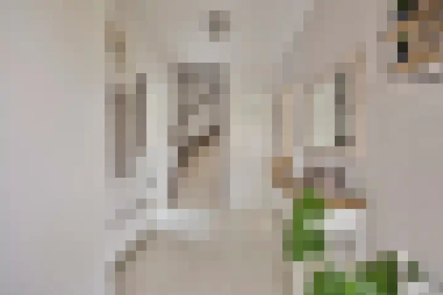 Pijlenburg 6 Middenbeemster thumbnail 6