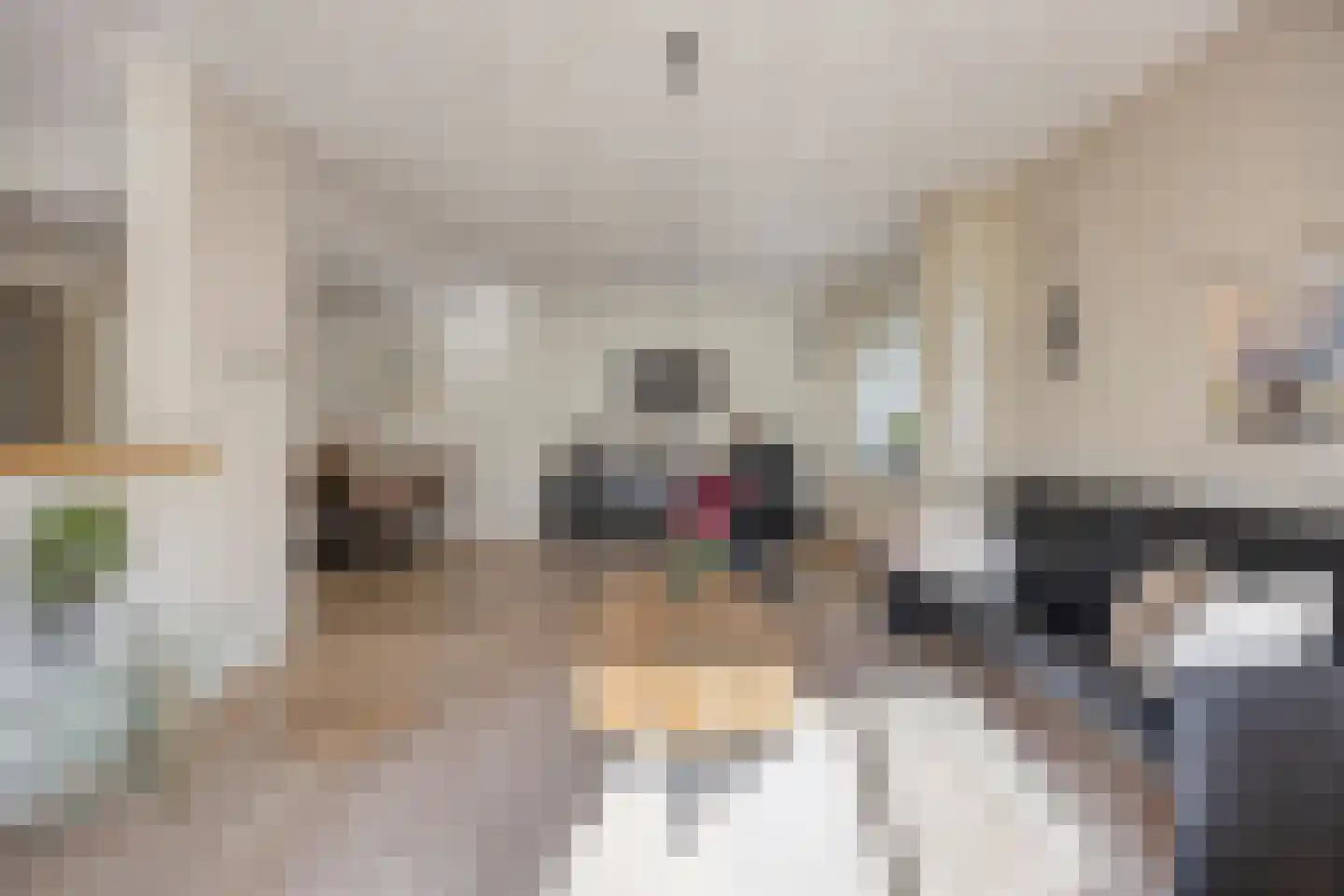 Pijlenburg 6 Middenbeemster thumbnail 7