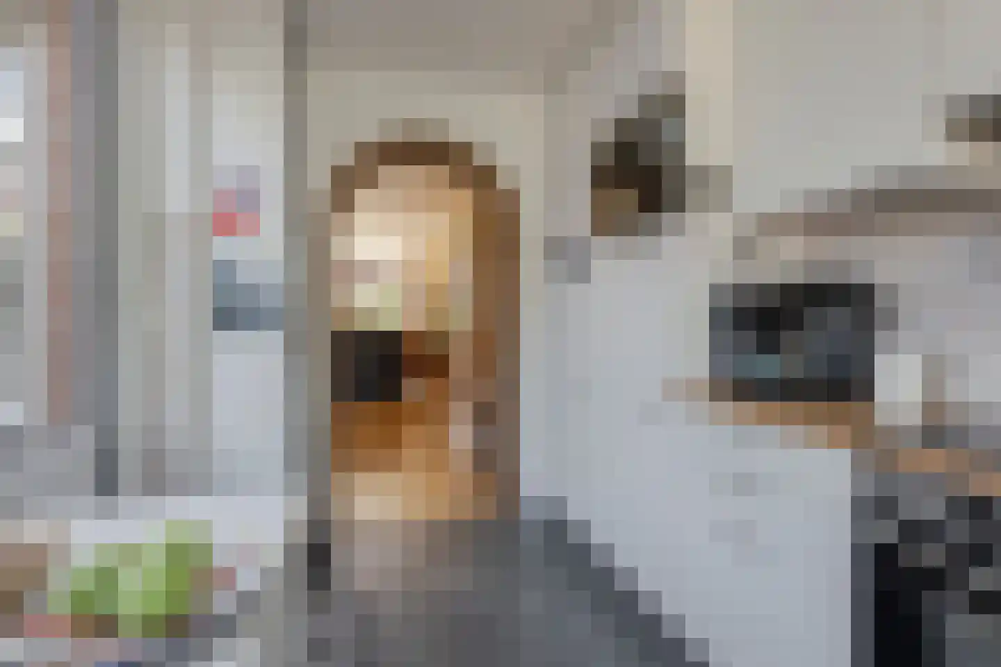 Pijlenkamp 21 Eemnes thumbnail 17