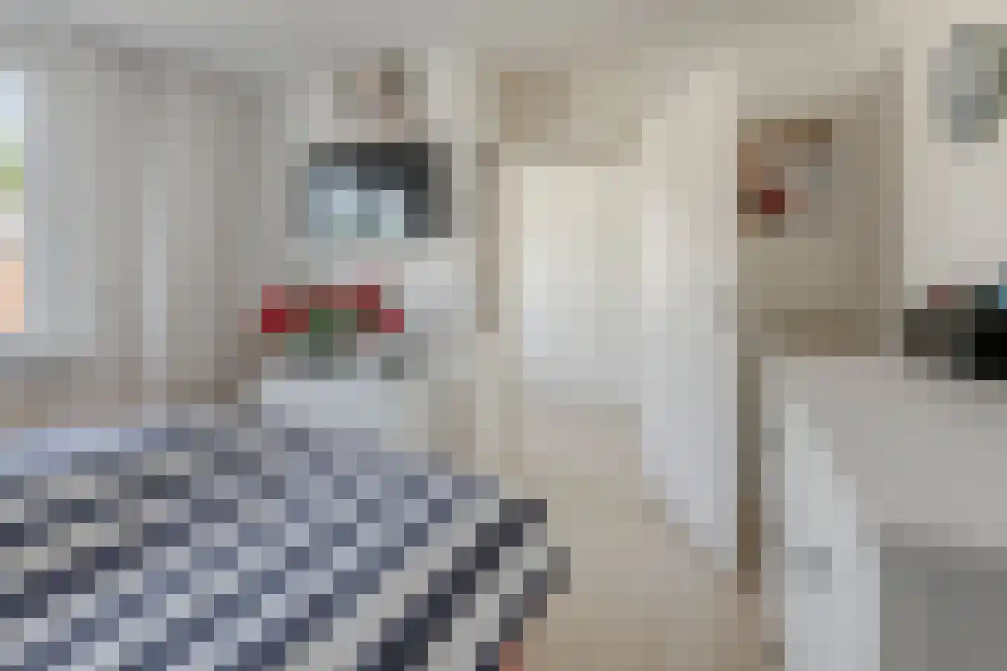 Pijlenkamp 21 Eemnes thumbnail 21