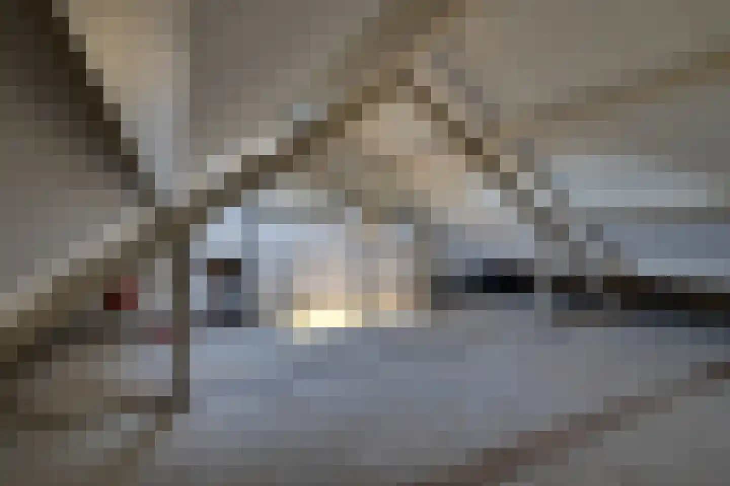 Pijlenkamp 27 Eemnes thumbnail 26