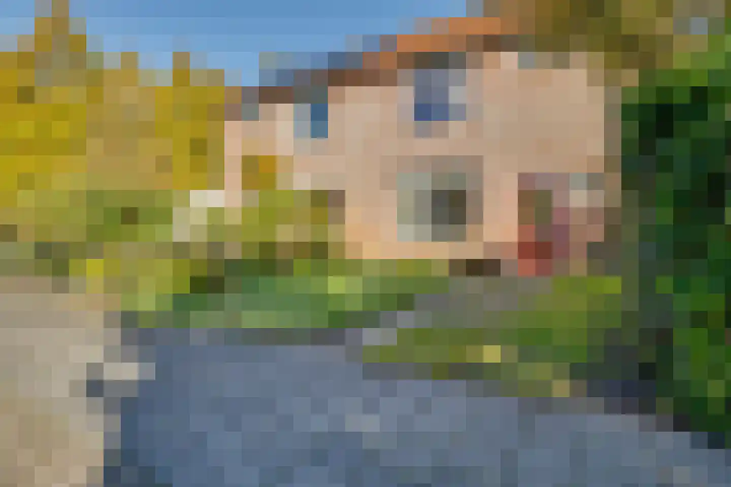 Pijlenkamp 27 Eemnes thumbnail 34