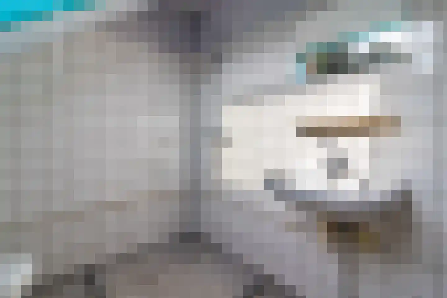 Pijlenkamp 9 Eemnes thumbnail 12