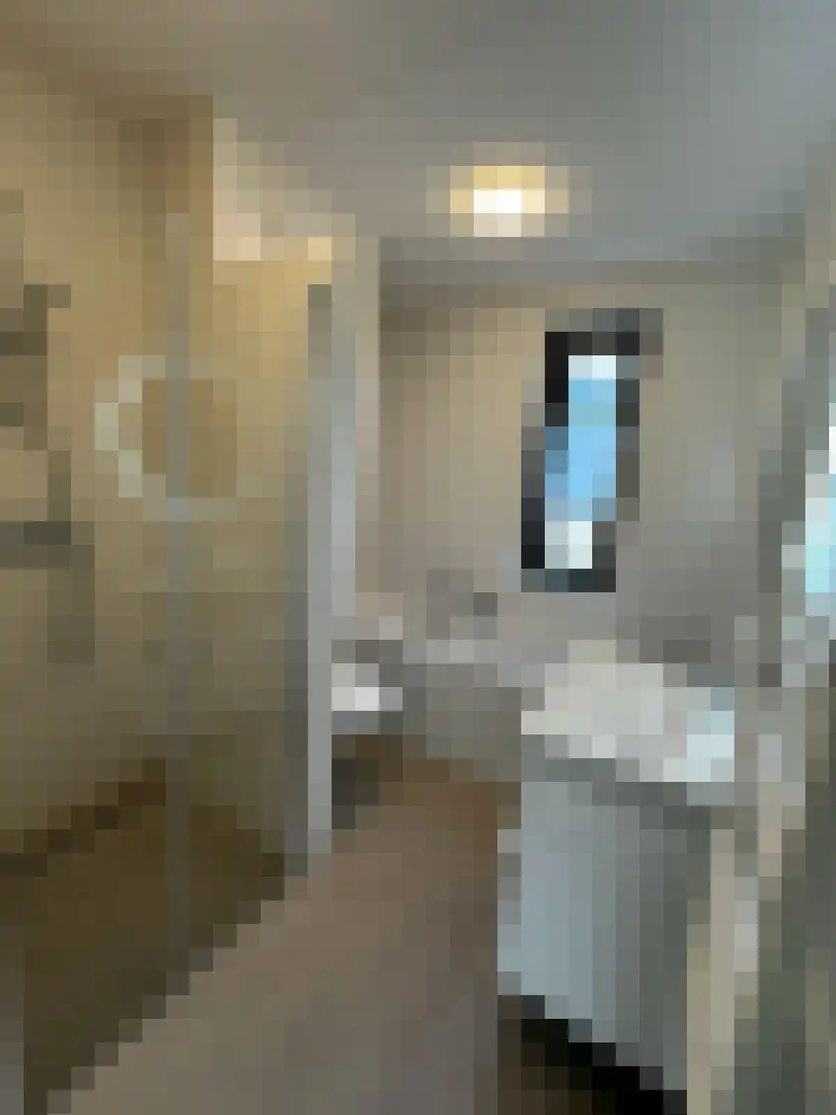 Pijlerdam 5 Arnhem thumbnail 4