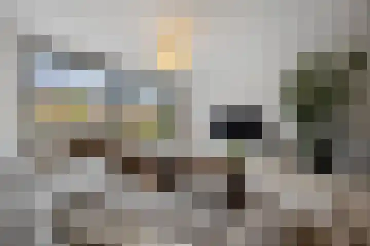 Pijlerdam 7 Arnhem thumbnail 10
