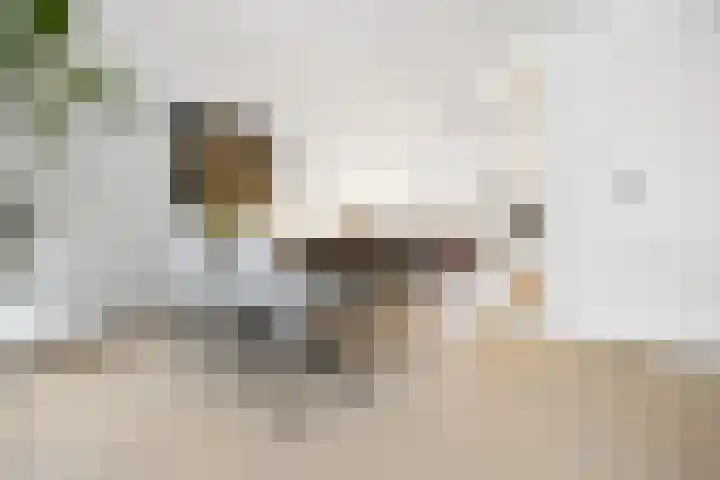 Pijlerdam 7 Arnhem thumbnail 13