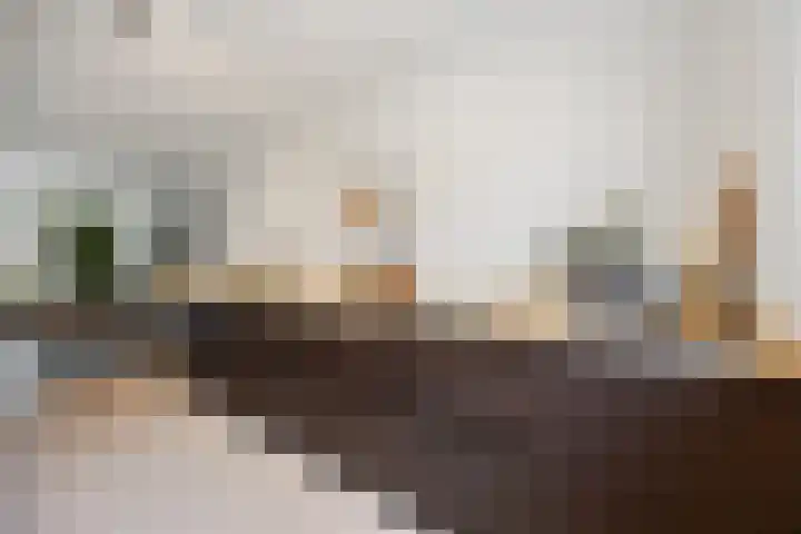 Pijlerdam 7 Arnhem thumbnail 14