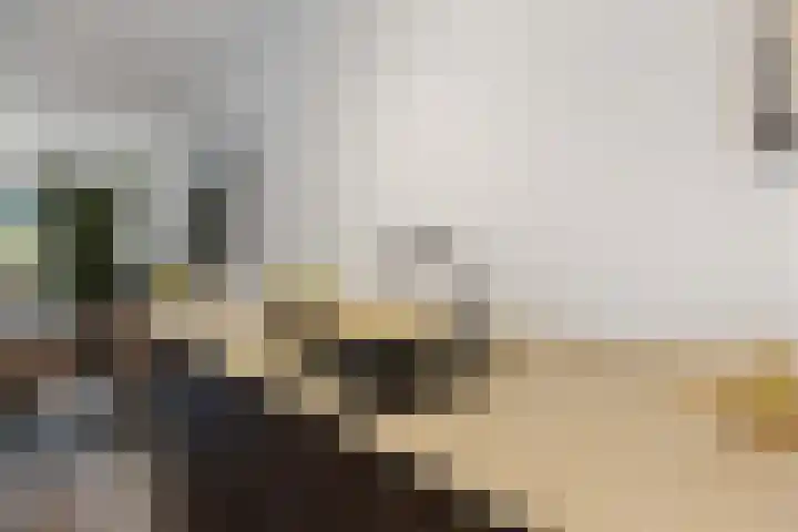 Pijlerdam 7 Arnhem thumbnail 19