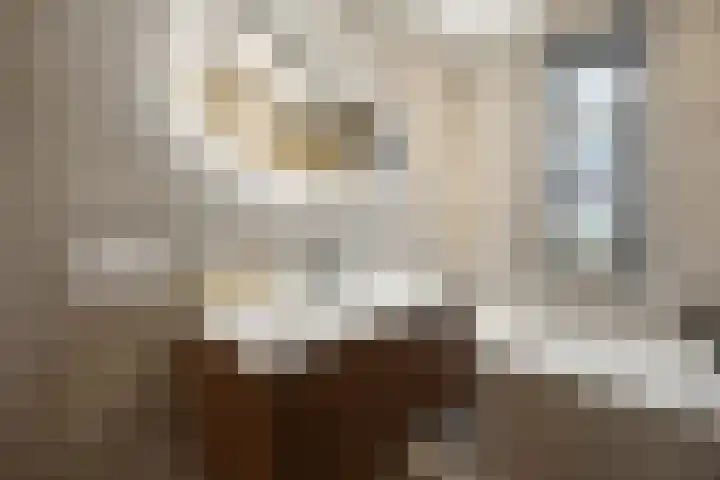 Pijlerdam 7 Arnhem thumbnail 22