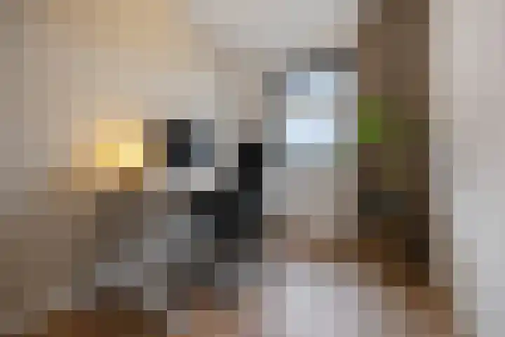 Pijlerdam 7 Arnhem thumbnail 26