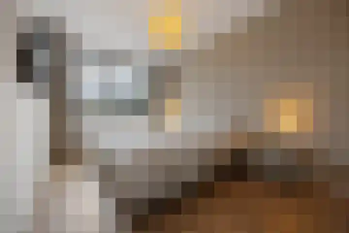 Pijlerdam 7 Arnhem thumbnail 28