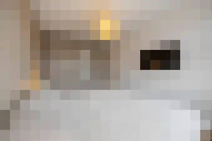 Pijlerdam 7 Arnhem thumbnail 30