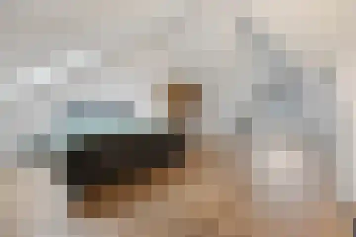 Pijlerdam 7 Arnhem thumbnail 37