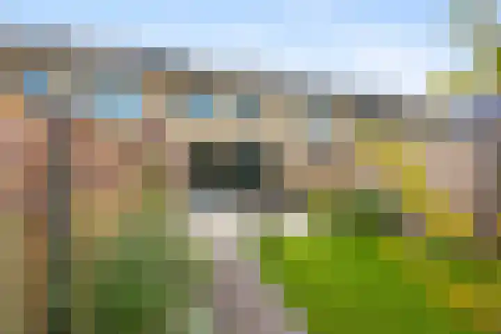 Pijlerdam 7 Arnhem thumbnail 40