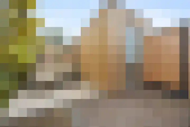 Pijlerdam 7 Arnhem thumbnail 42