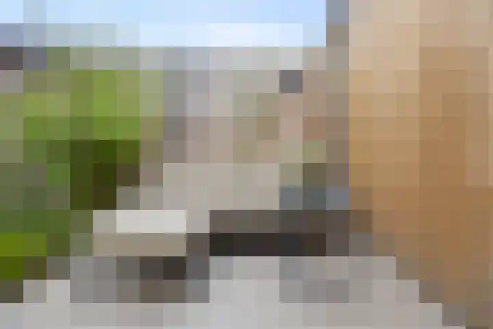 Pijlerdam 7 Arnhem thumbnail 43