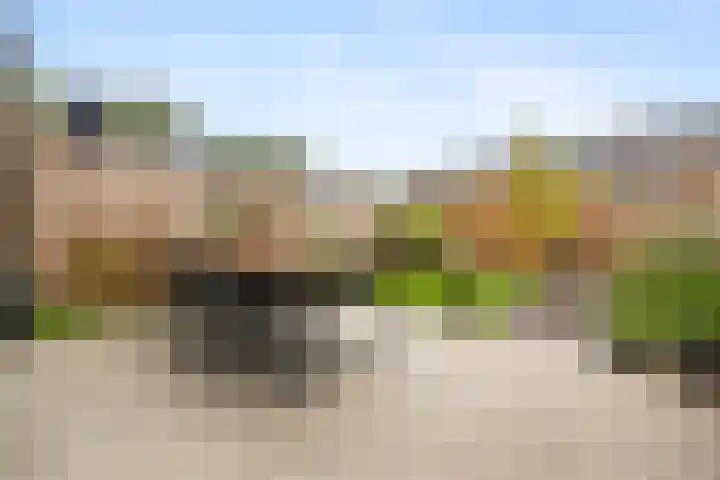 Pijlerdam 7 Arnhem thumbnail 44