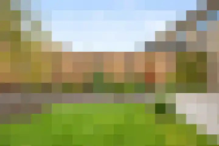 Pijlerdam 7 Arnhem thumbnail 47