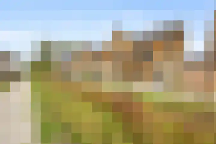 Pijlerdam 7 Arnhem thumbnail 51