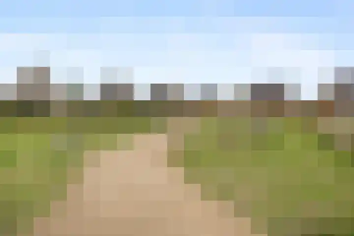 Pijlerdam 7 Arnhem thumbnail 52