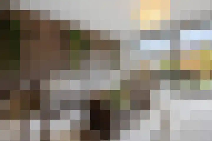 Pijlerdam 7 Arnhem thumbnail 8
