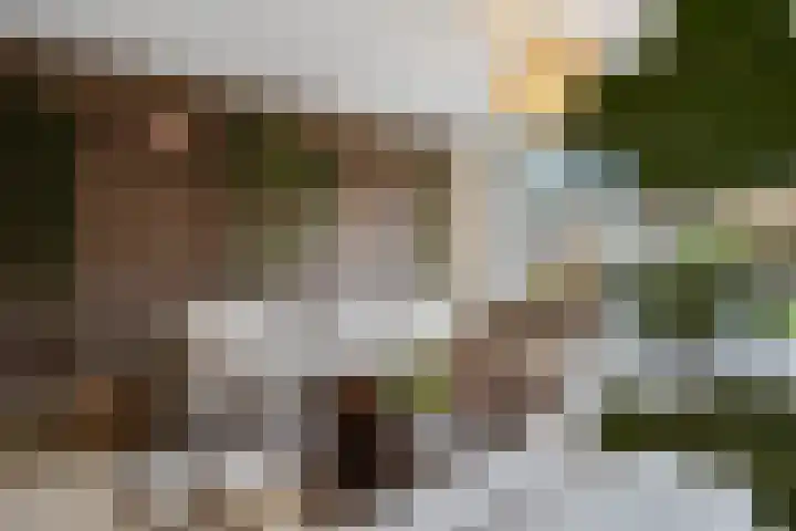 Pijlerdam 7 Arnhem thumbnail 9