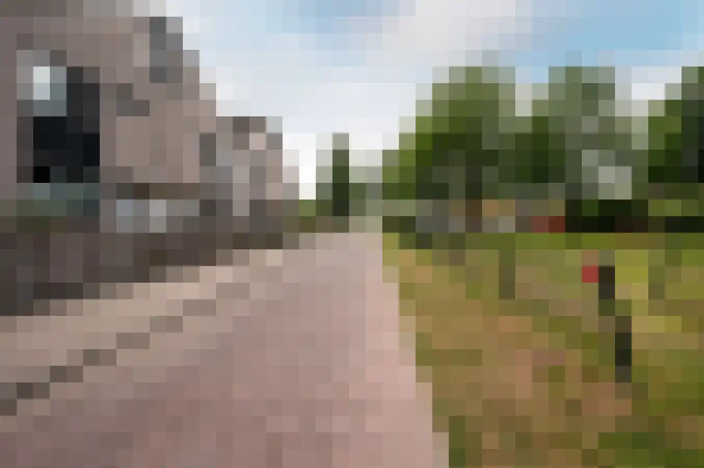 Pijlersloot 11 Lelystad thumbnail 34