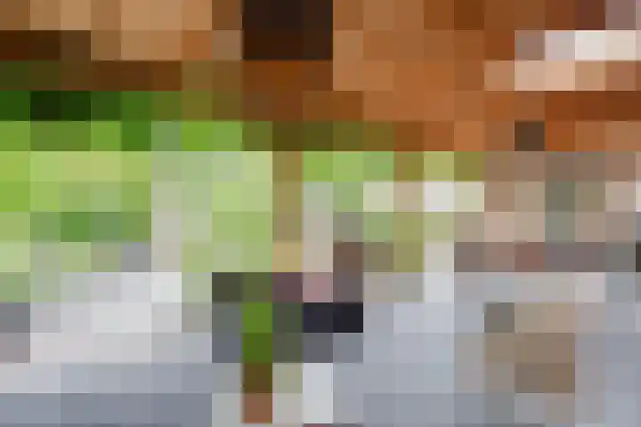 Pijlhovestraat 27 Enschede thumbnail 5