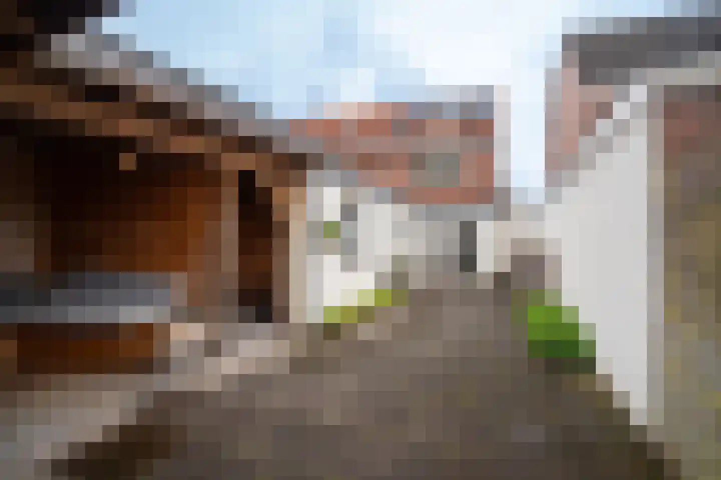 Pijlhovestraat 52 Enschede thumbnail 30