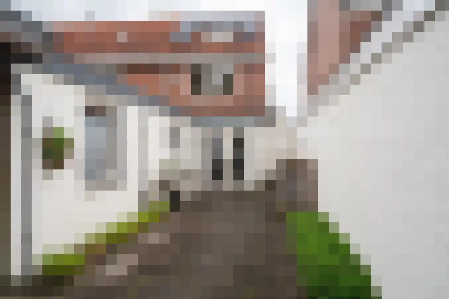 Pijlhovestraat 52 Enschede thumbnail 32