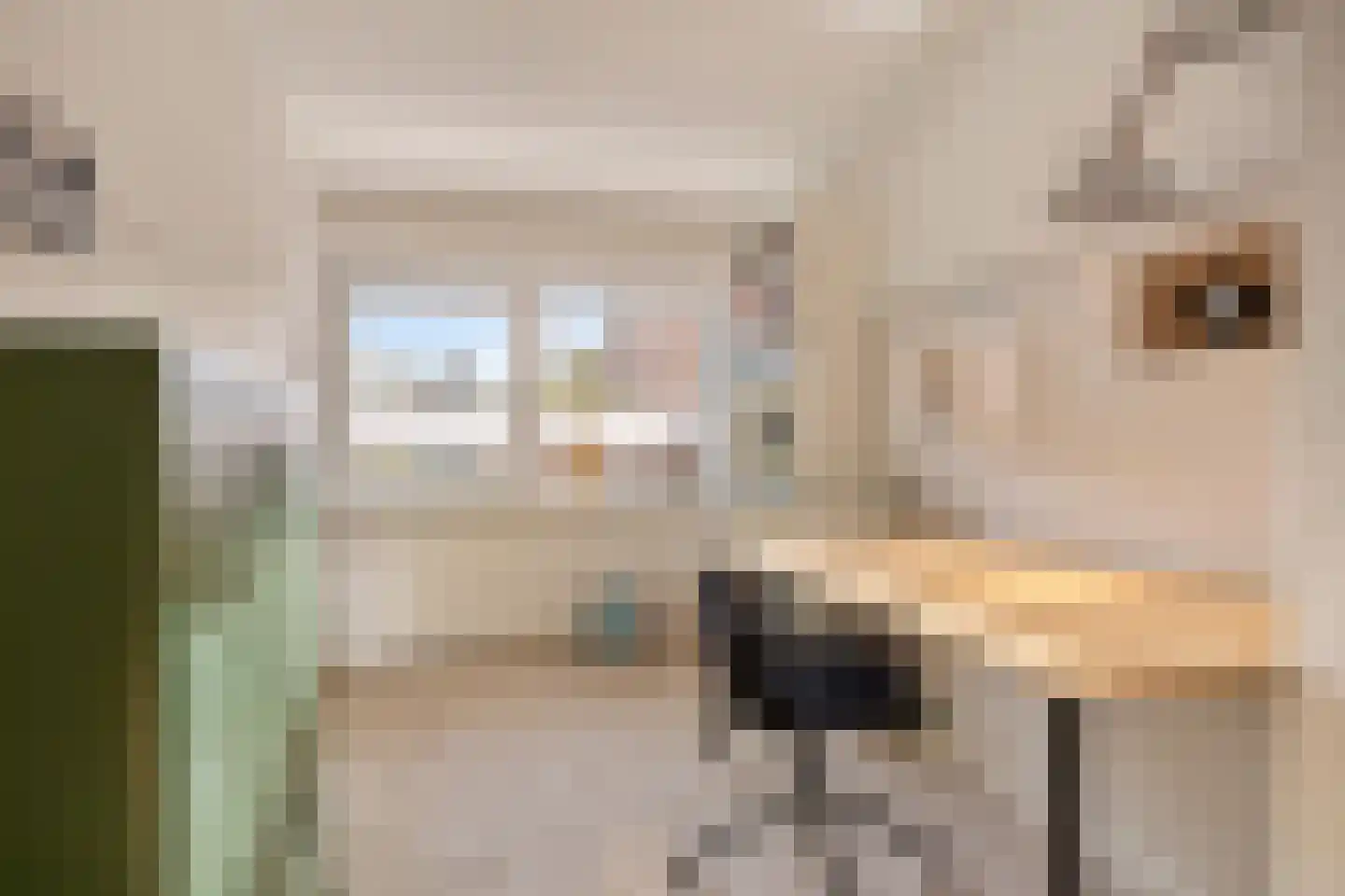 Pijlhuishorst 12 Enschede thumbnail 27