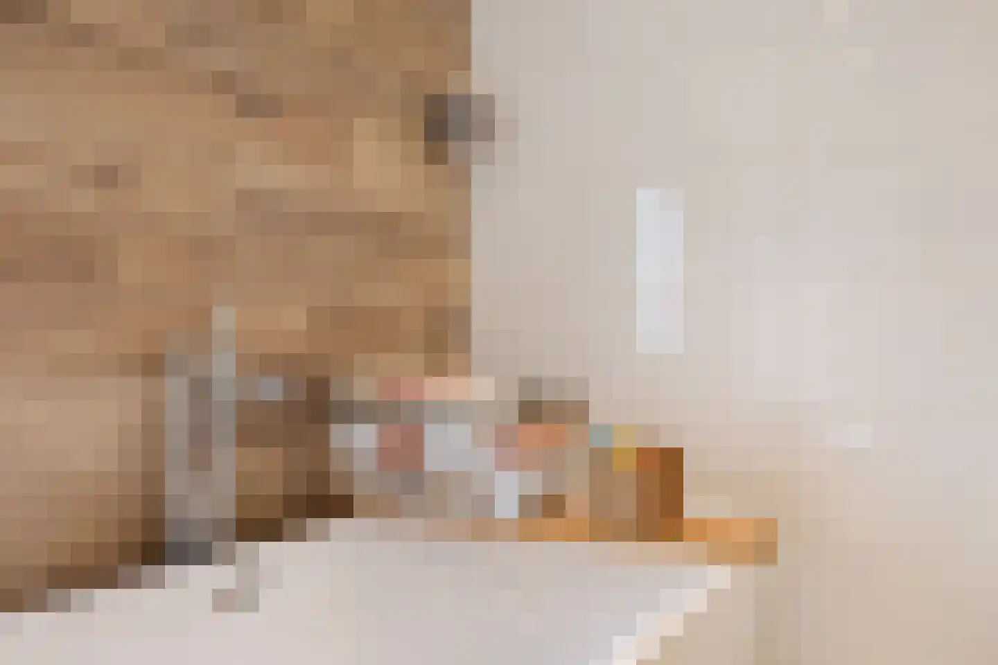 Pijlhuishorst 12 Enschede thumbnail 30