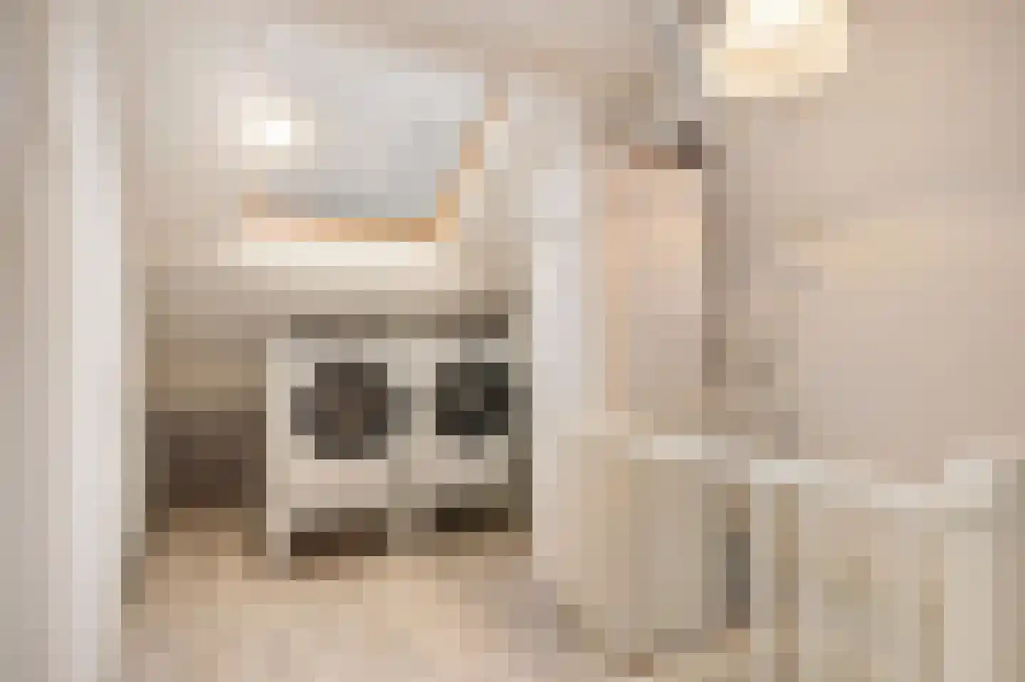 Pijlhuishorst 12 Enschede thumbnail 33
